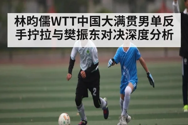 林昀儒WTT中国大满贯男单反手拧拉与樊振东对决深度分析