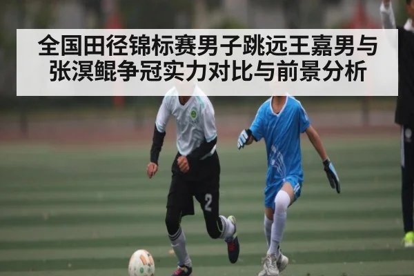 全国田径锦标赛男子跳远王嘉男与张溟鲲争冠实力对比与前景分析